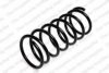 ROC CS0983 Coil Spring